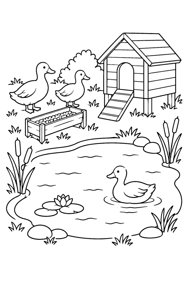 Pondside Duckyard