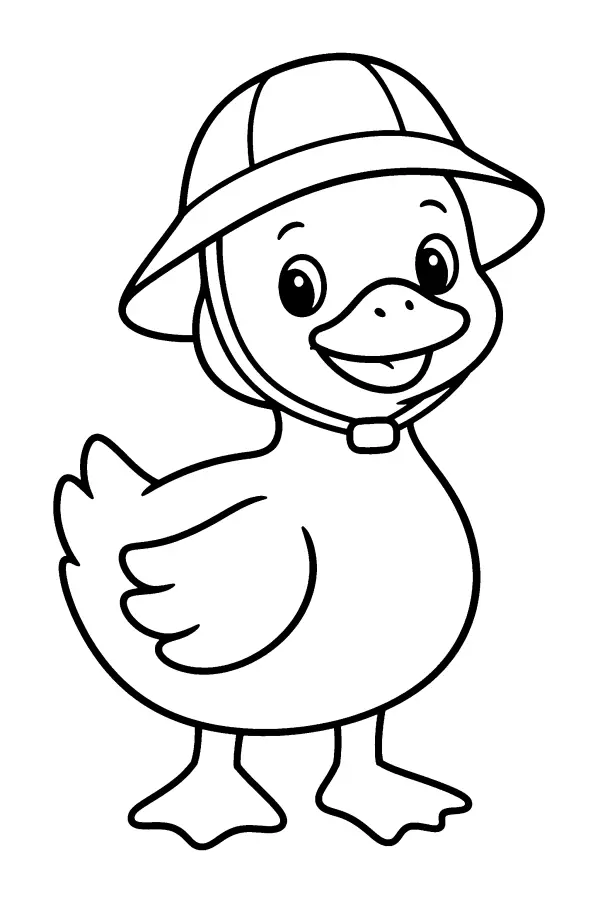Rain Hat Duck