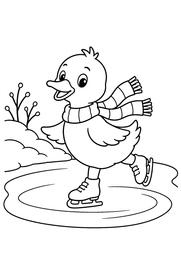 Skating Duck