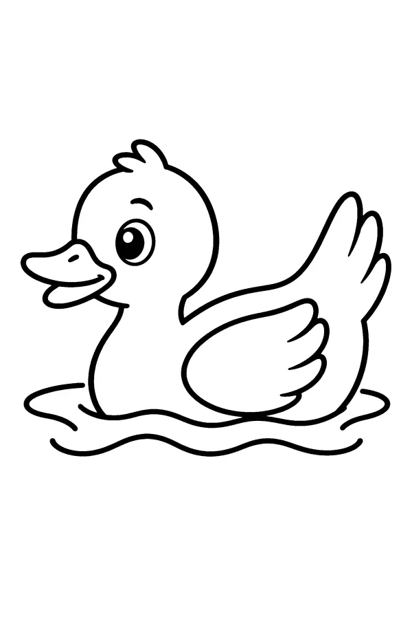 Swimming Duck