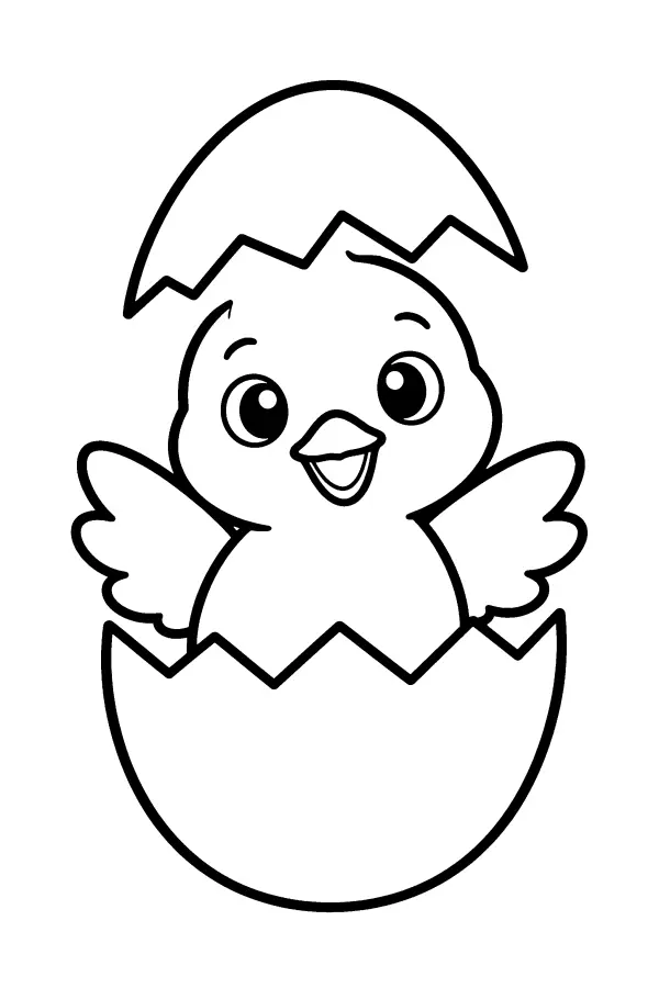 Hatching Chick