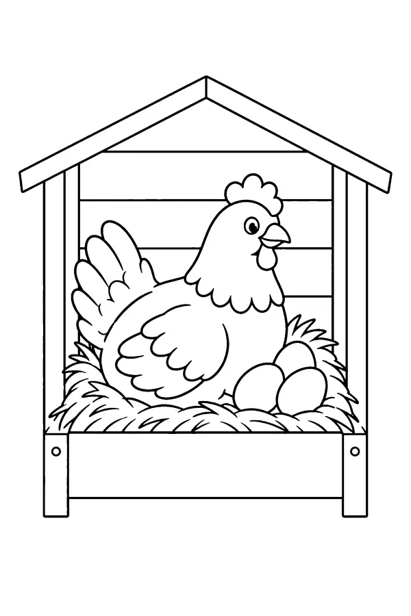 Hen In Nest Box