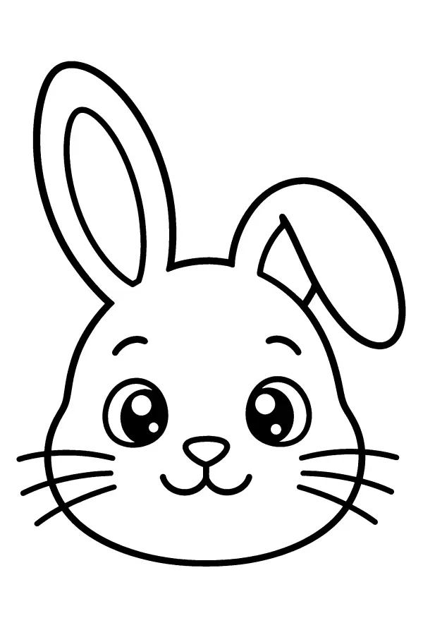 Bunny Face Closeup