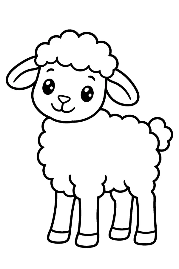Curly Lamb