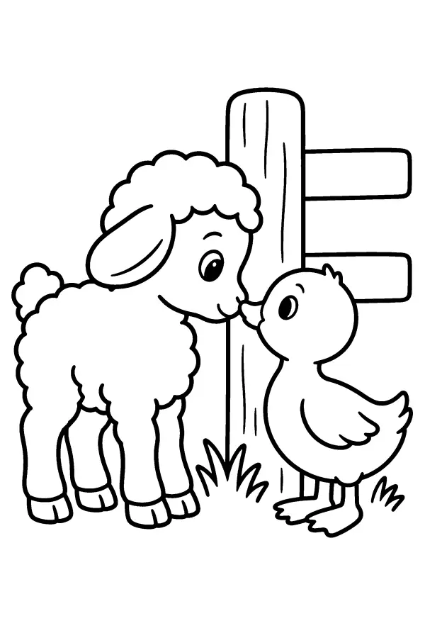 Lamb And Duckling