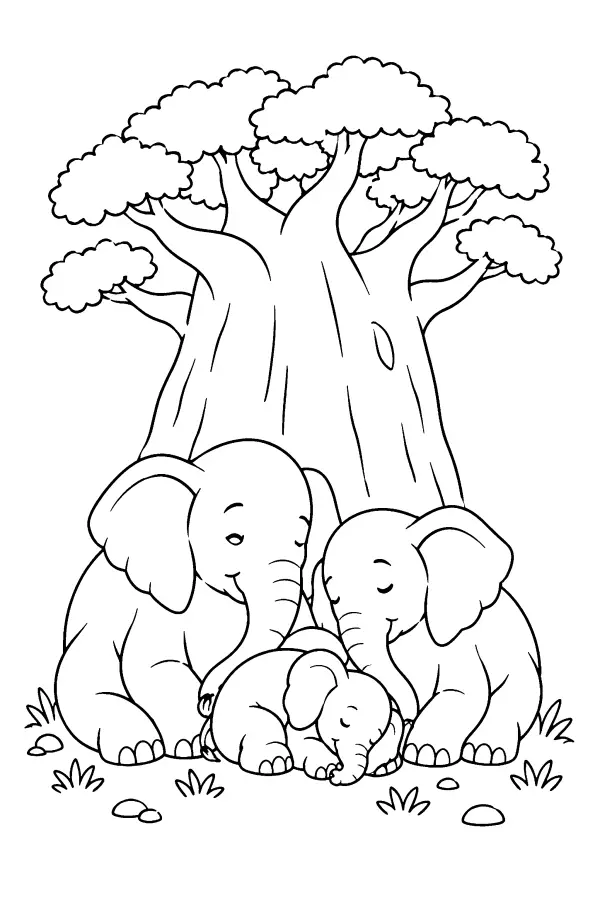 Baobab Family Rest