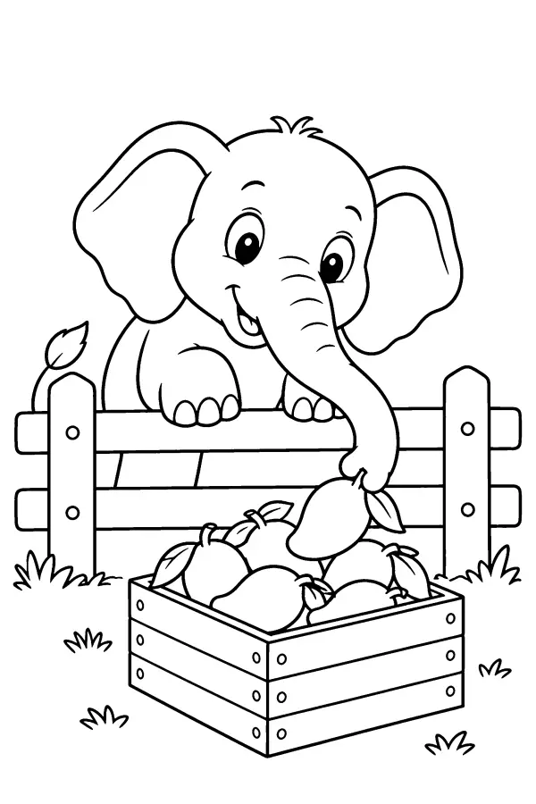 Elephant and Mangoes