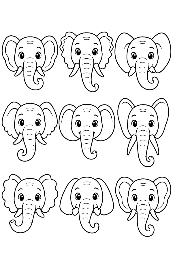 Elephant Face Grid
