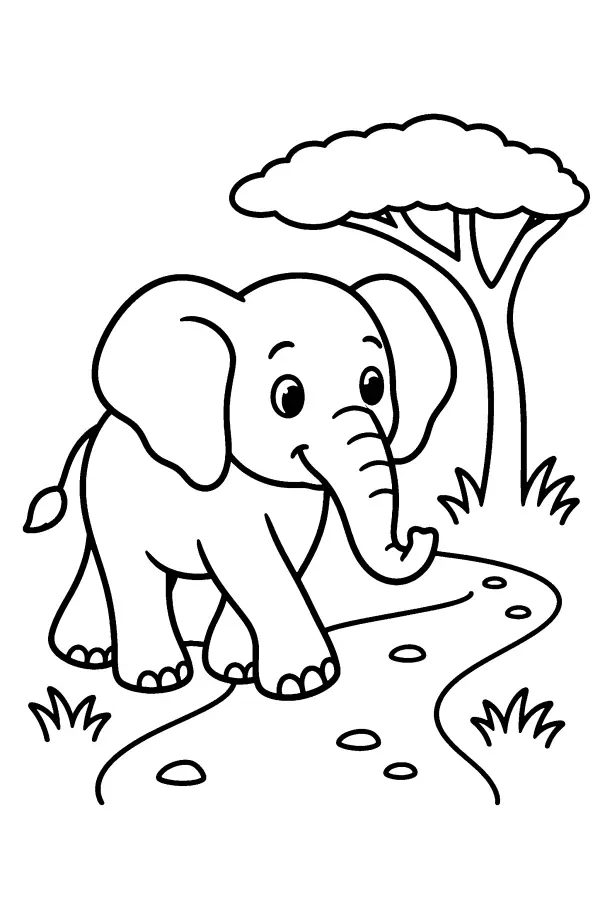 Elephant On The Path