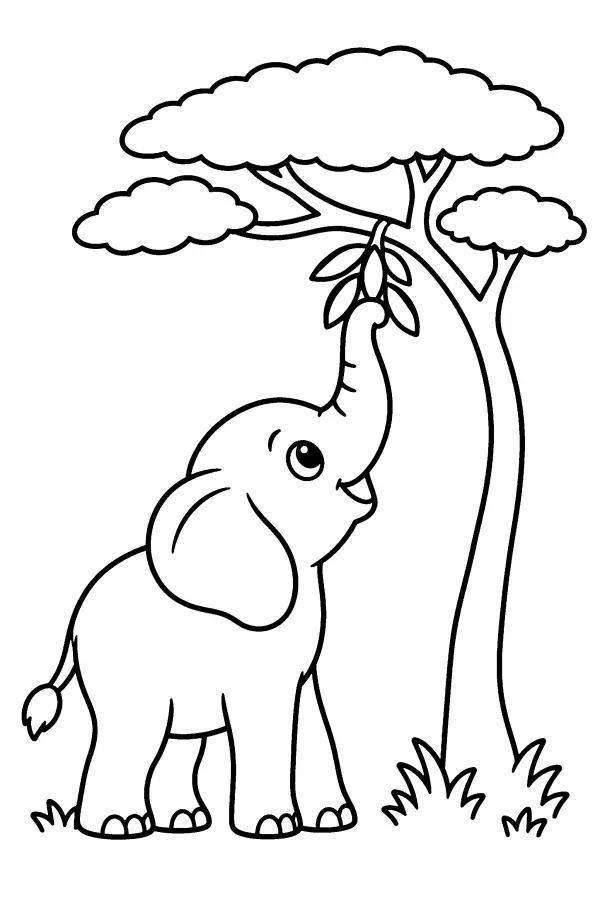 Elephant Reaching Up
