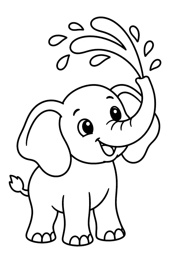 Elephant Water Spray