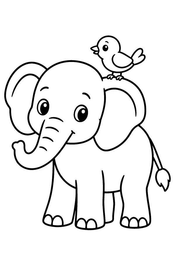 Elephant With Bird