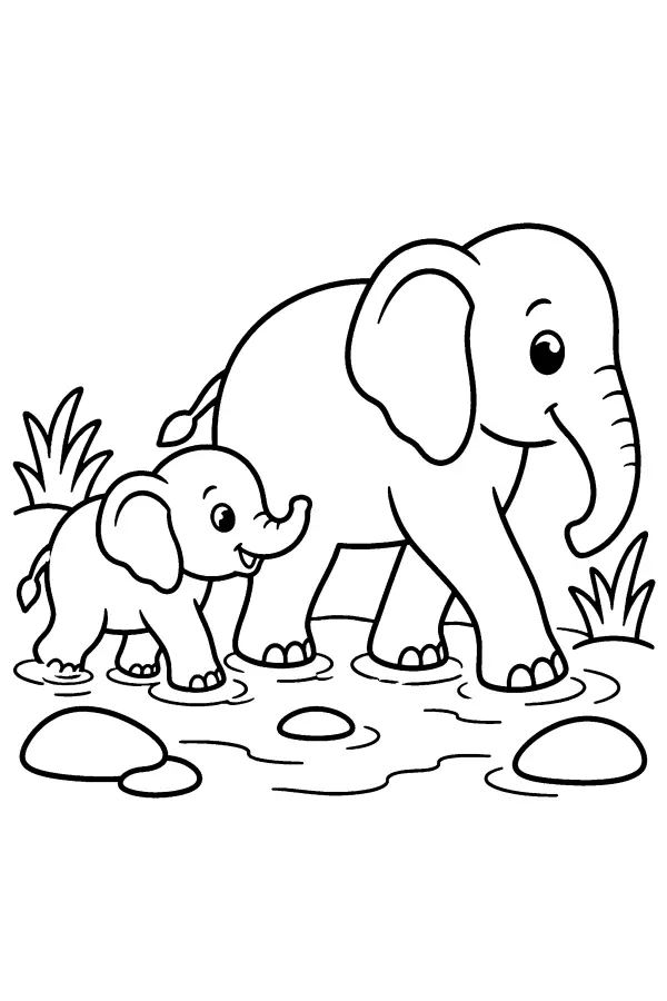 Elephants In Stream