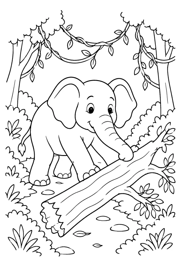 Forest Path Elephant