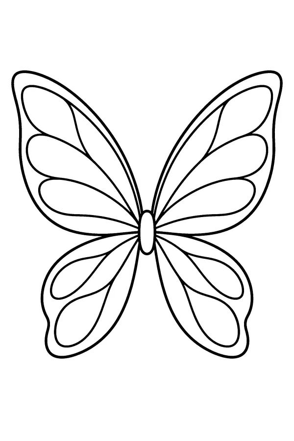 Butterfly Wing Pair