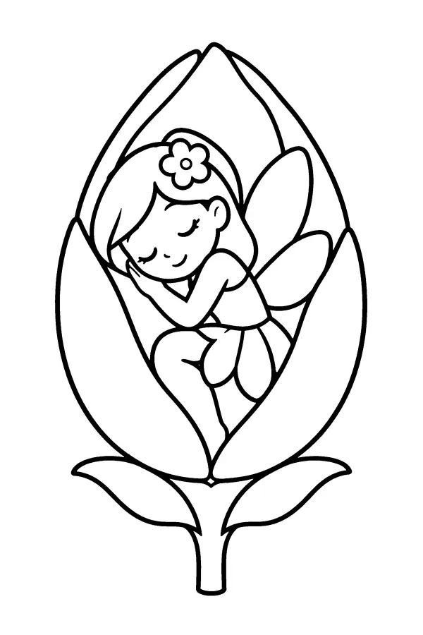 Sleeping Fairy Bud