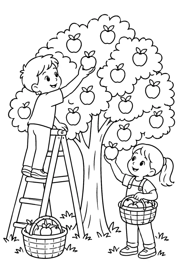 Apple Harvest