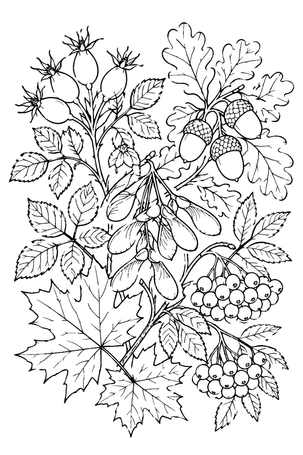 Autumn Branch Study