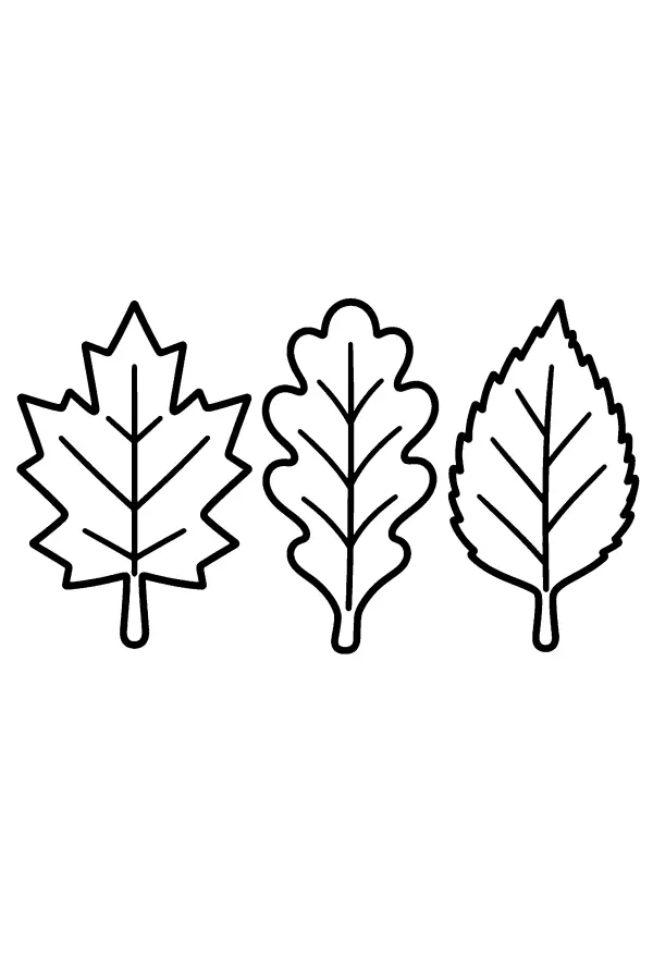 Autumn Leaf Trio