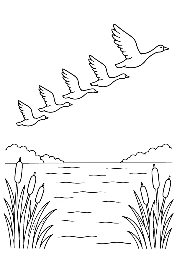 Geese Over Lake