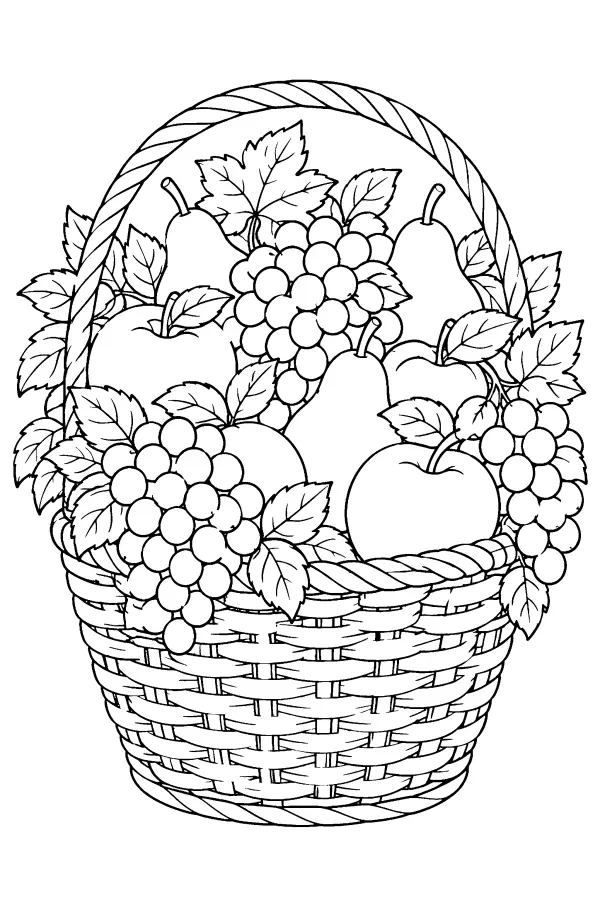 Harvest Basket