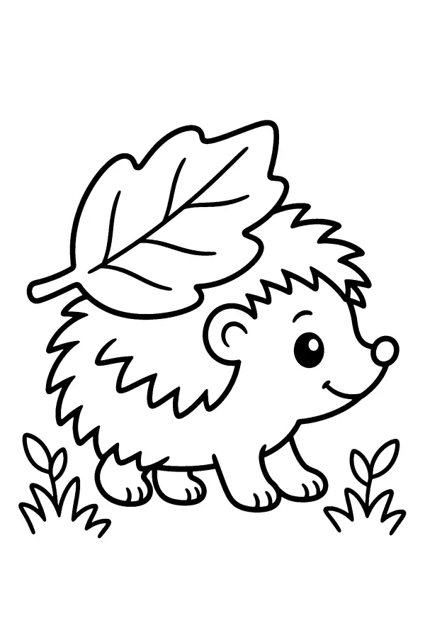 Hedgehog With Leaf