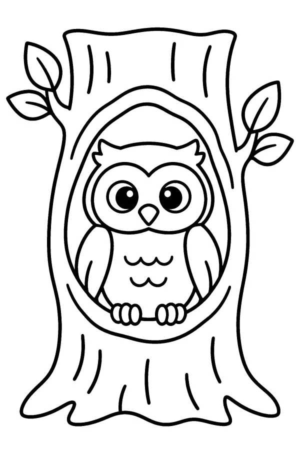 Owl In Tree Hollow