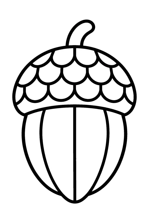 Patterned Acorn