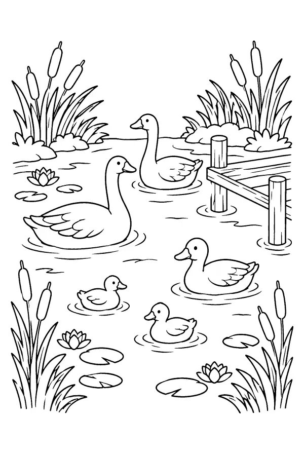 Duck Pond Scene