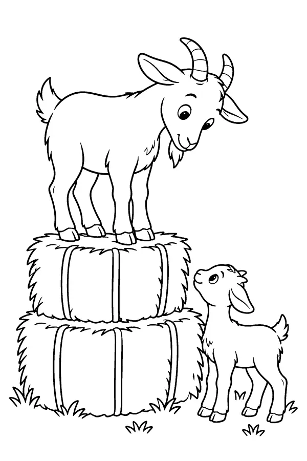 Goat On Hay Bales