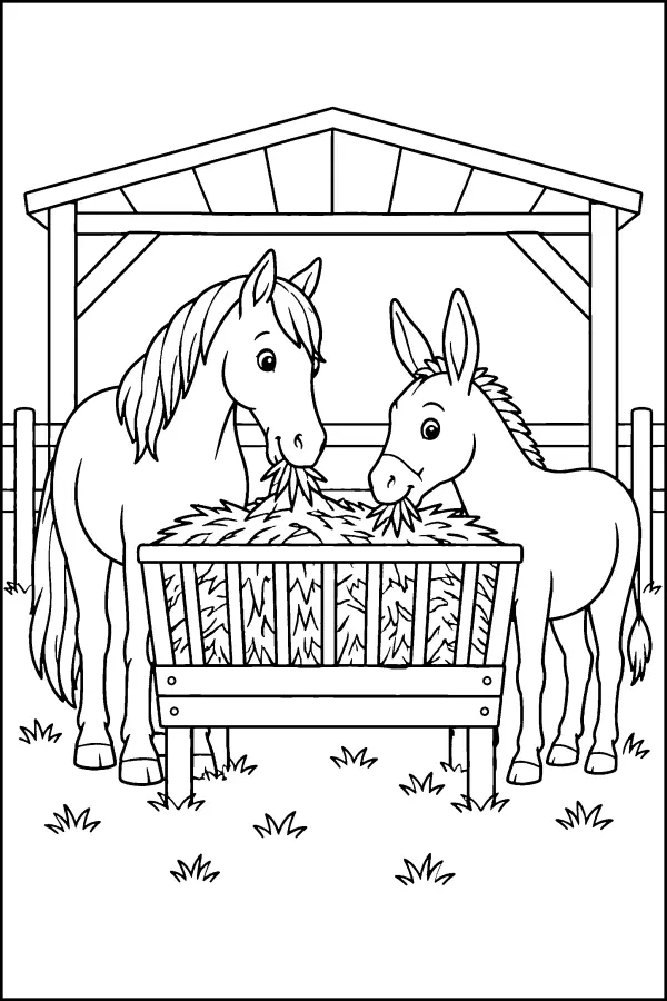 Horse And Donkey