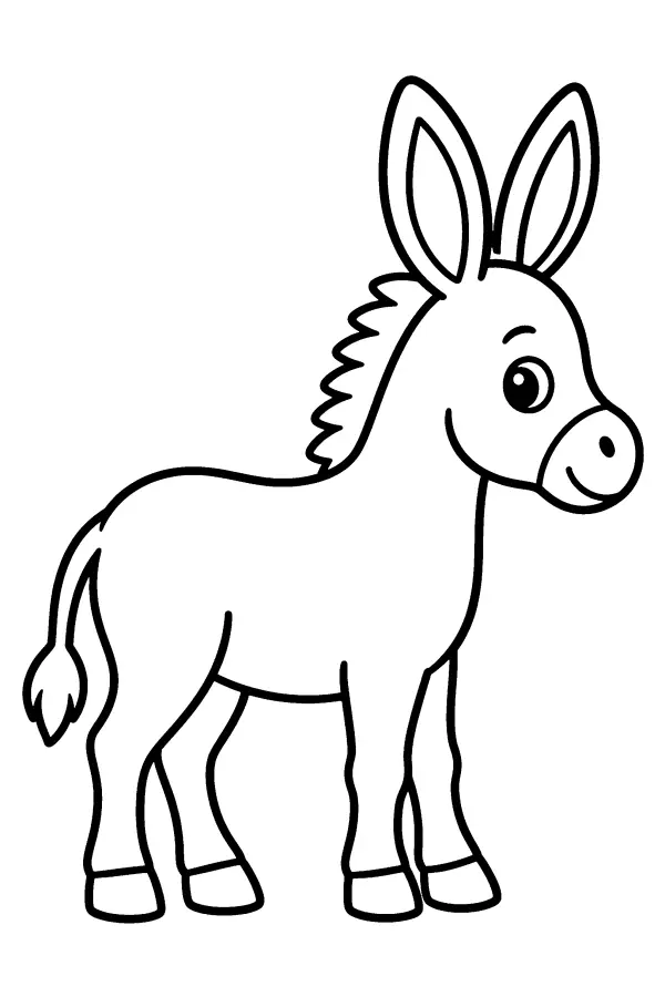 Long Eared Donkey