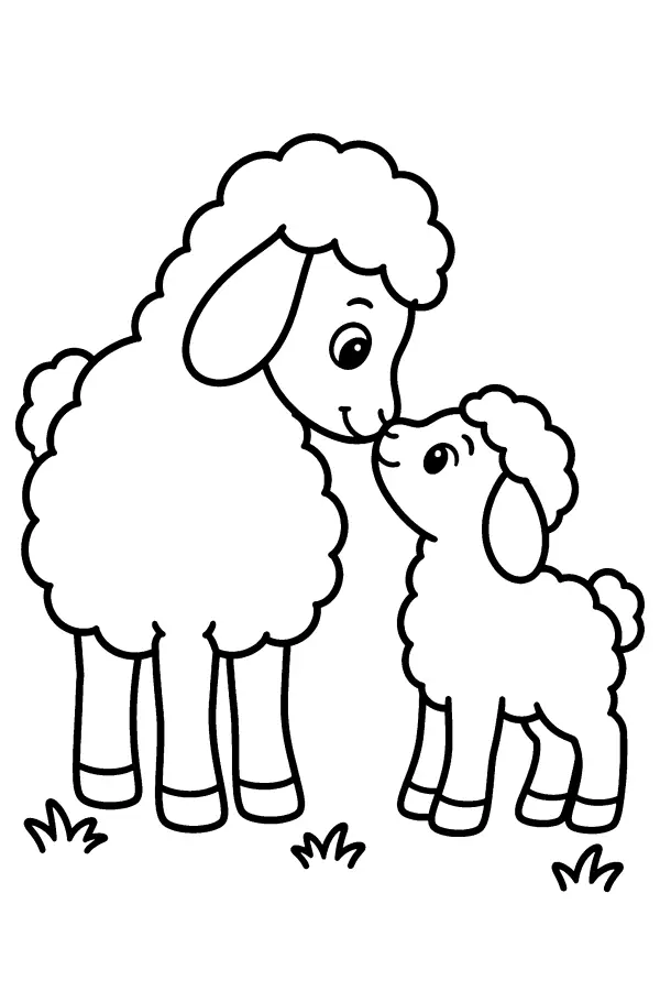 Sheep And Lamb