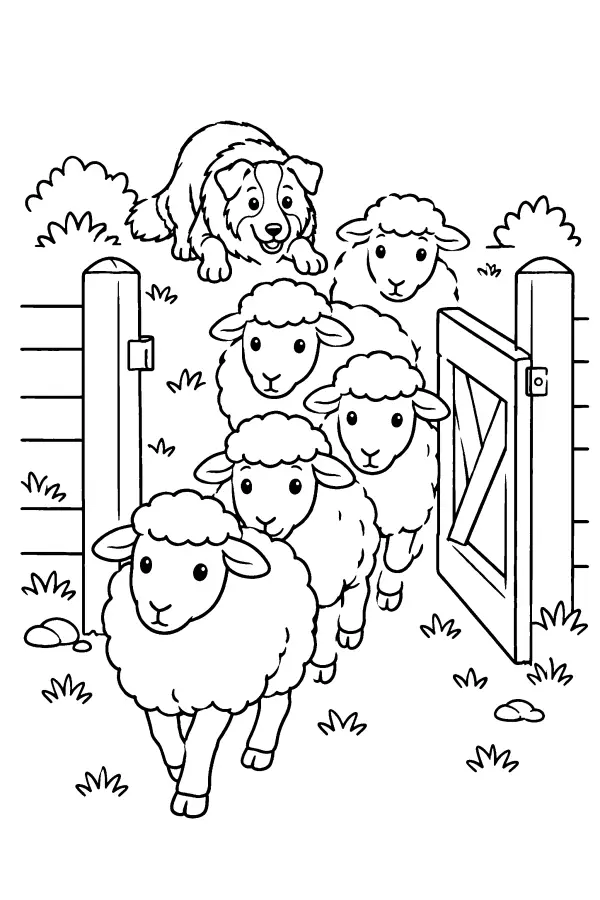 Sheep Through Gate