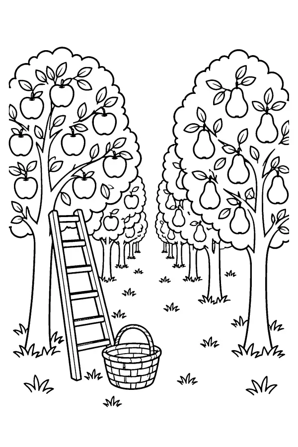 Orchard Ladder Basket