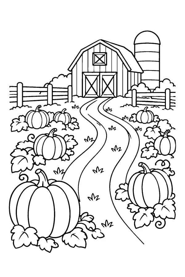 Pumpkin Field Path