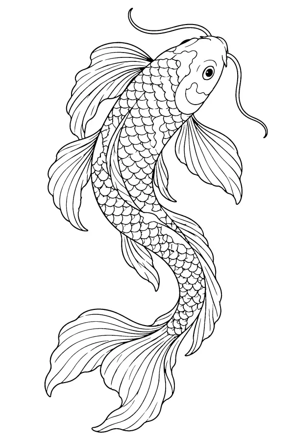Coloriage détaillé d’un koï courbé en forme de S