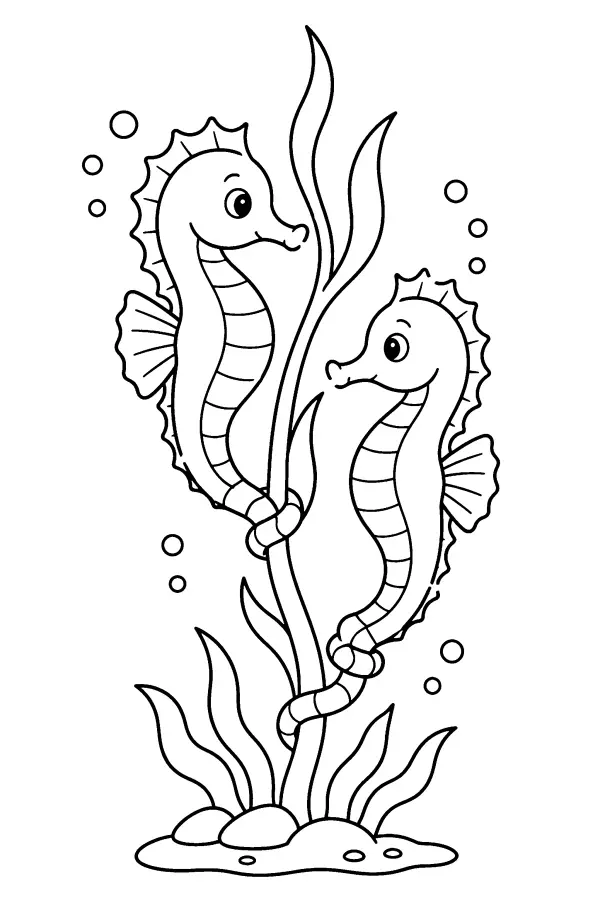 Coloriage poisson de deux hippocampes accrochés aux algues