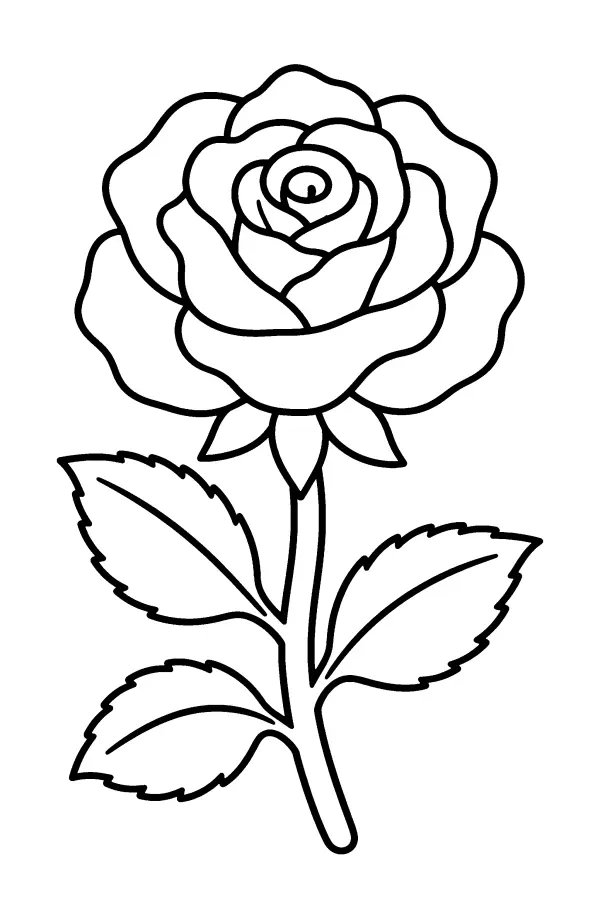 Coloriage facile d’une rose fleur aux pétales en couches