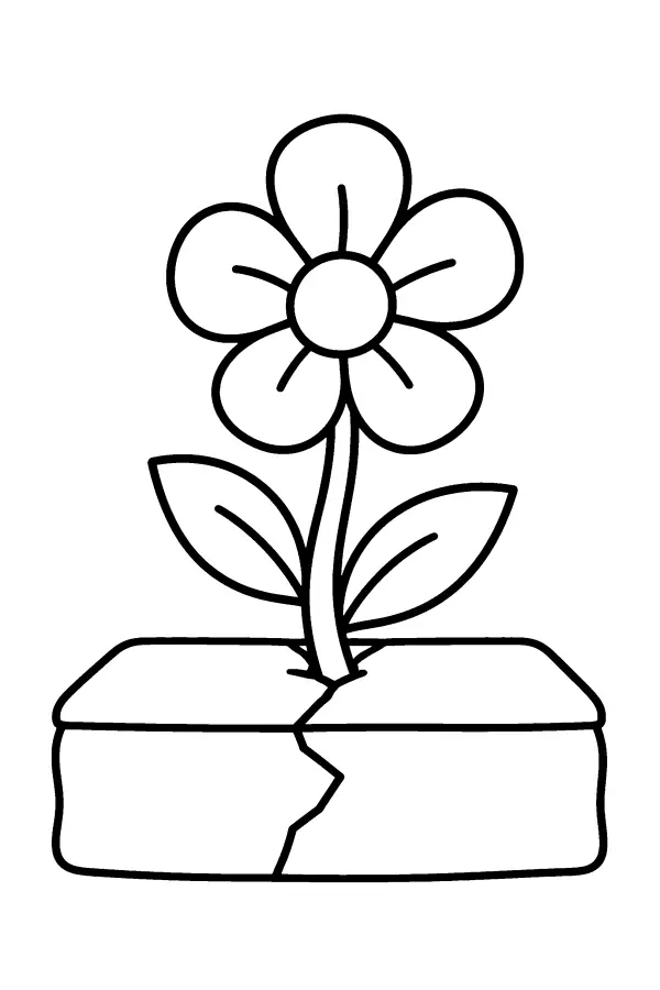 Coloriage d’une fleur poussant dans une fissure
