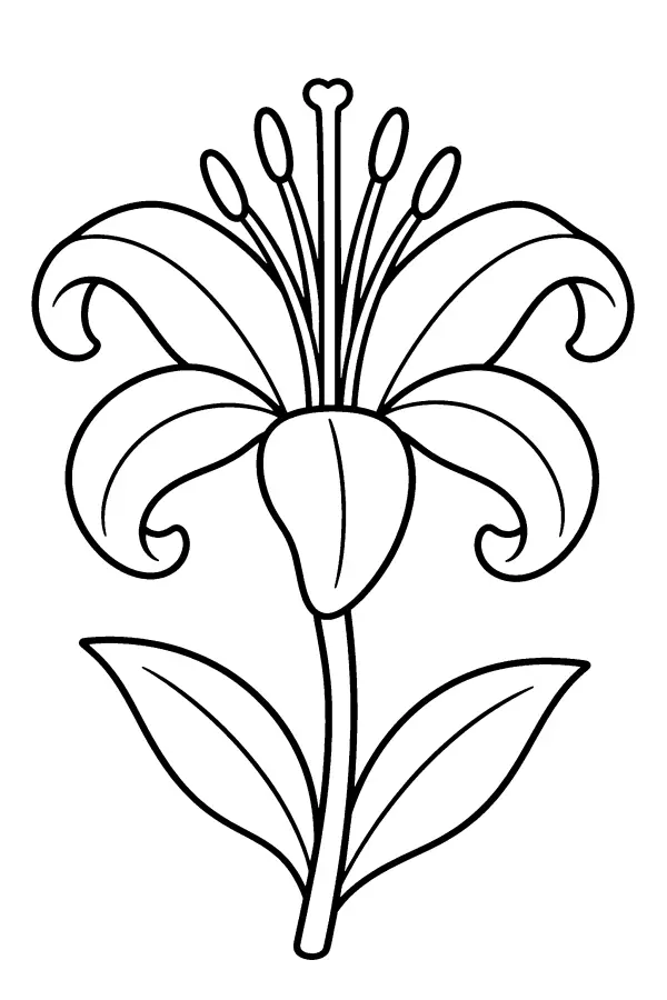Dessin à colorier d’un lys aux pétales recourbés