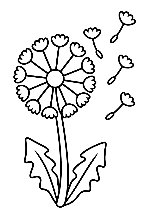 Coloriage d’un pissenlit dont les graines s’envolent