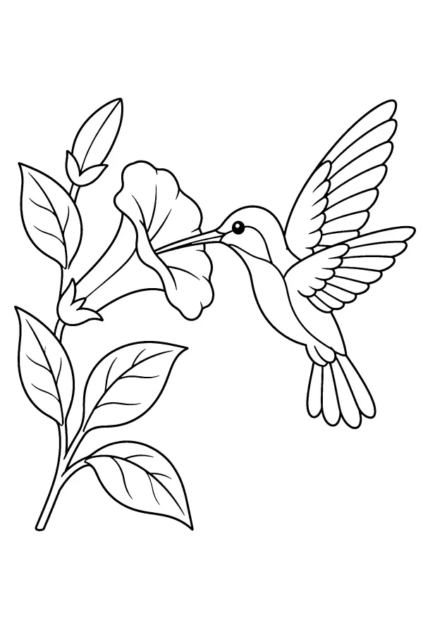 Coloriage d’un colibri planant près d’une fleur en trompette