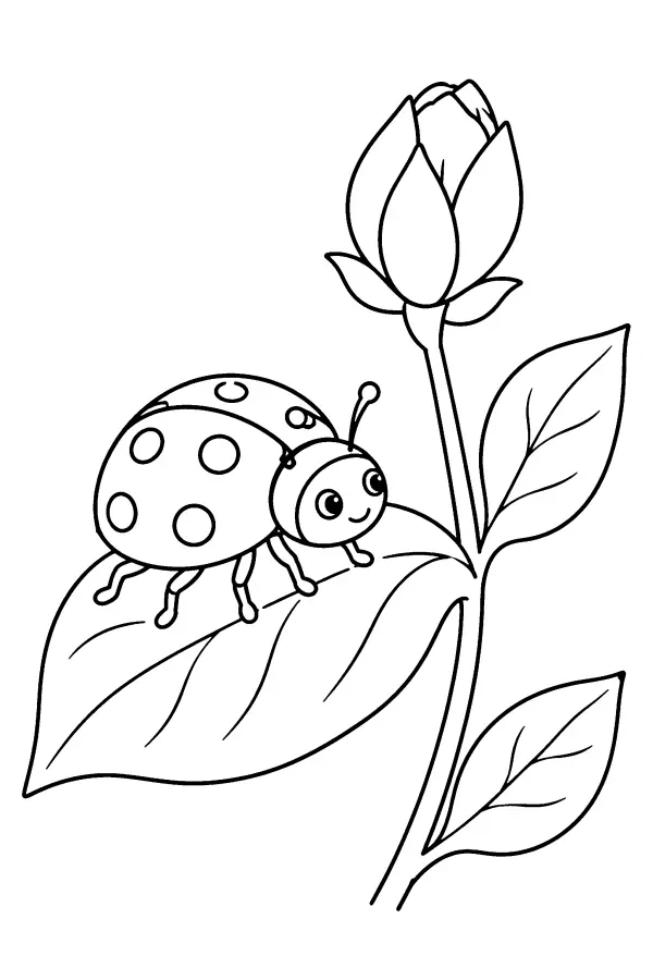 Coloriage facile d’une coccinelle près d’une fleur