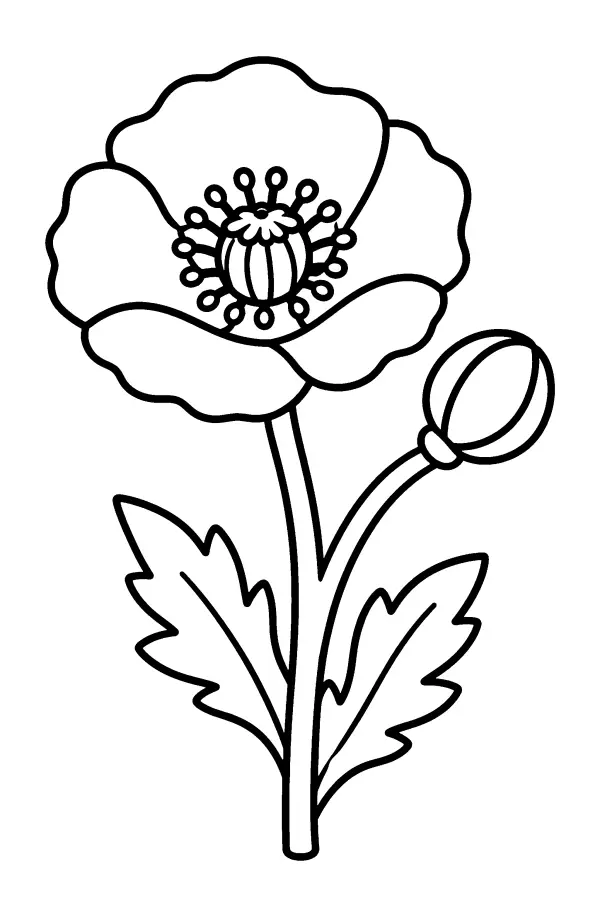 Dessin à colorier facile d’un coquelicot