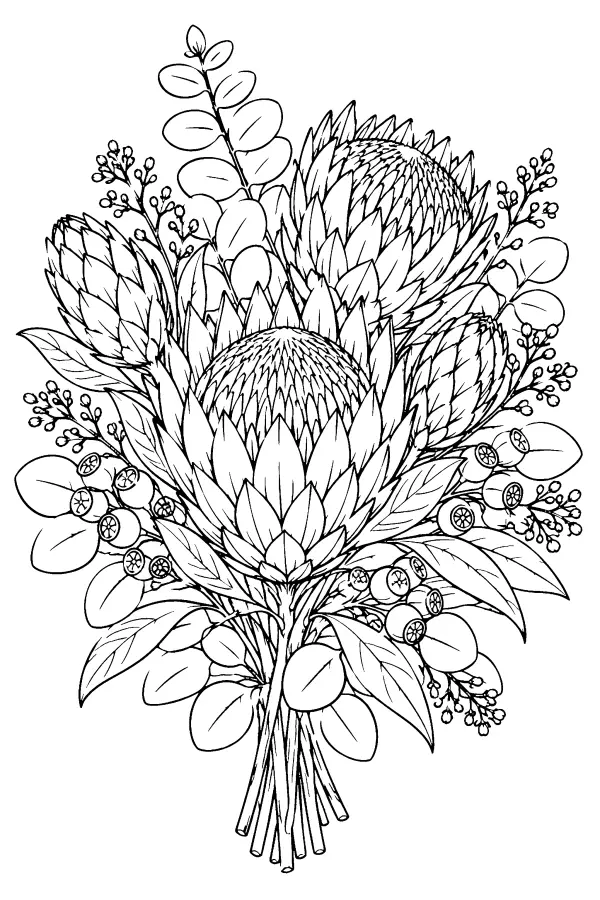 Dessin à colorier d’un bouquet de fleurs protéa