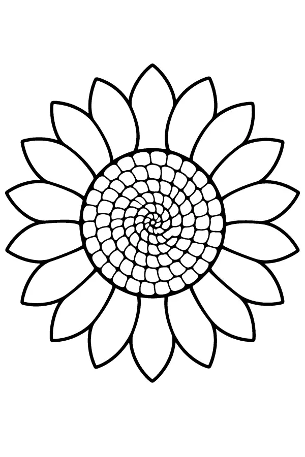 Coloriage d’un tournesol au cœur en spirale