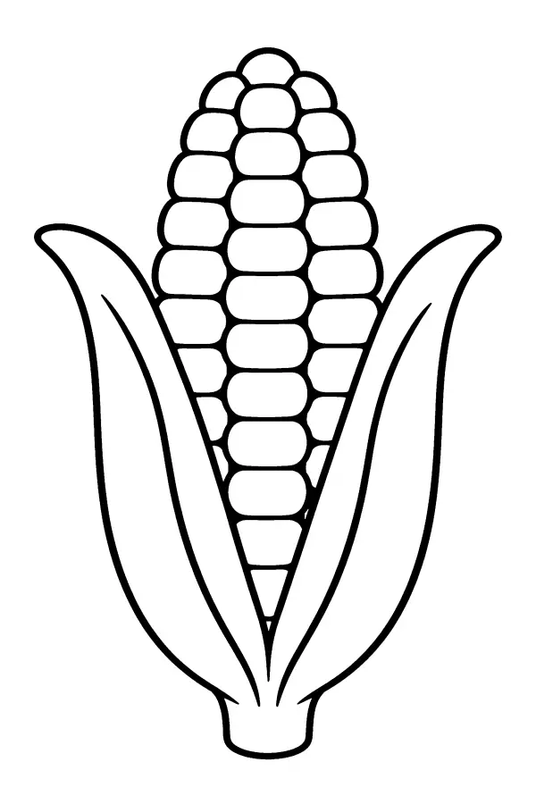 Corn Cob