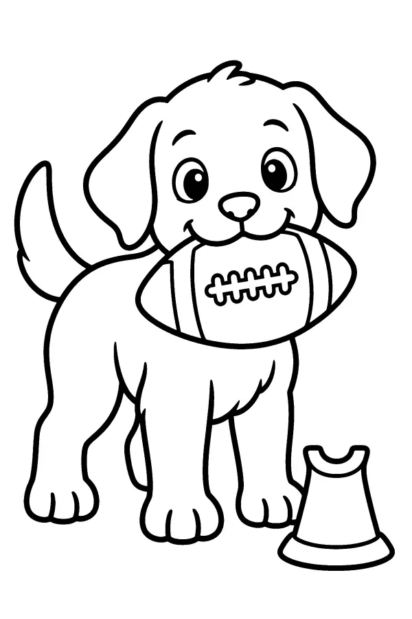 Puppy With Football