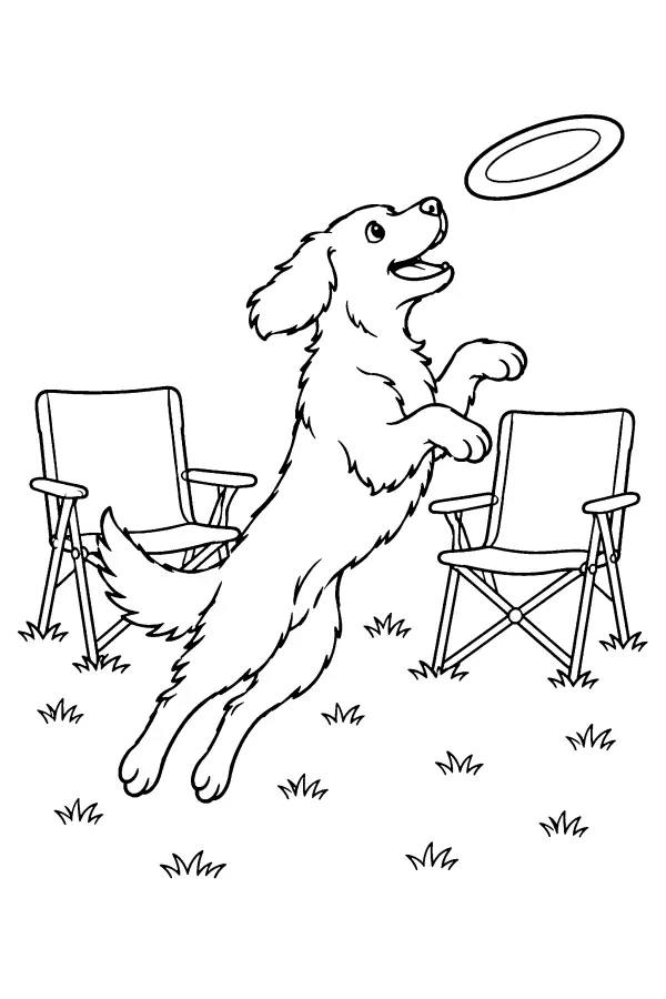 Dog Catching Disc